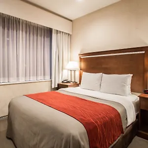 Comfort Manhattan Bridge 3* New York